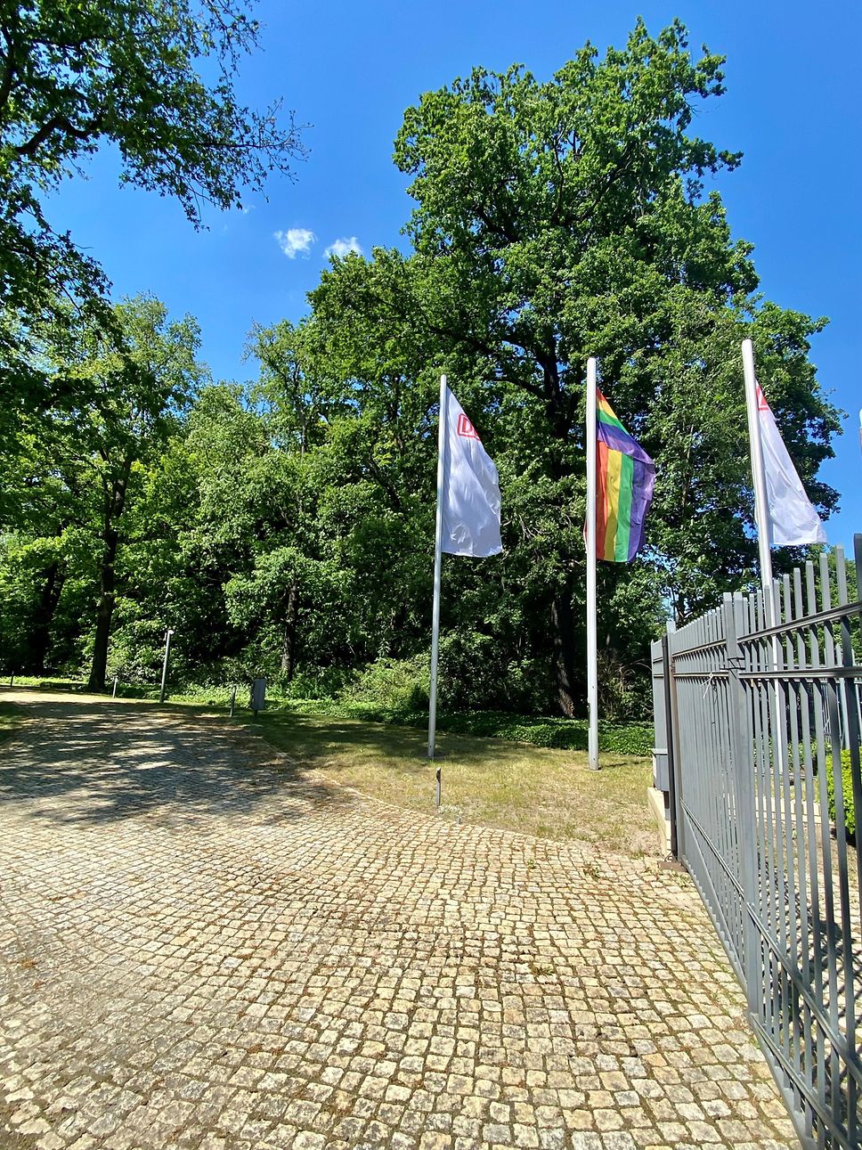 Regenbogenflagge und DB-Flaggen