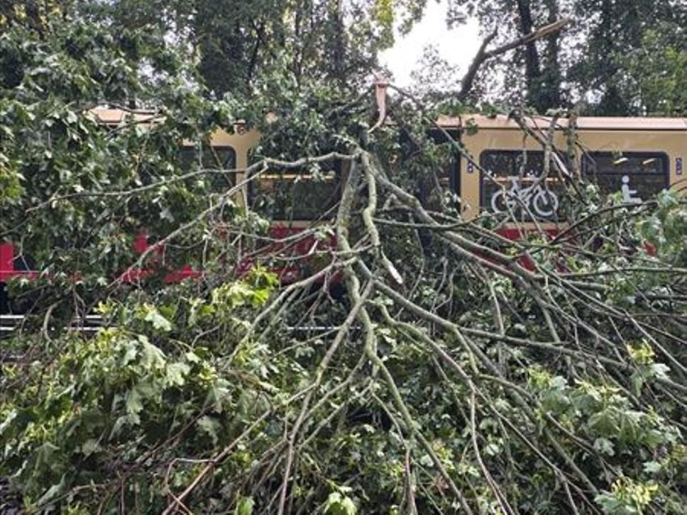 S-Bahn-Berlin26062025_1