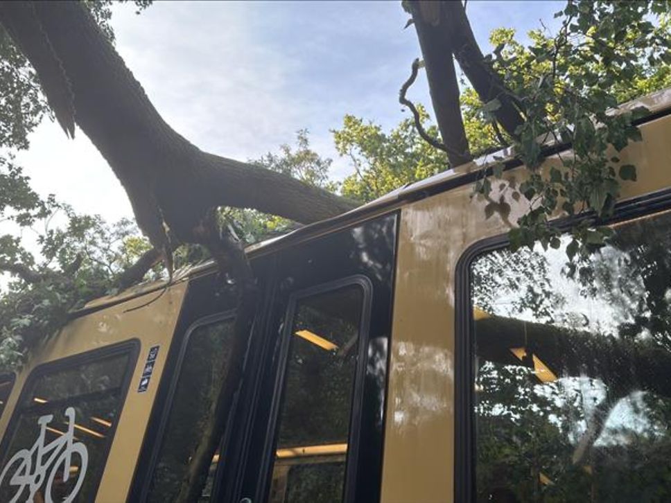 S-Bahn-Berlin26062025_3