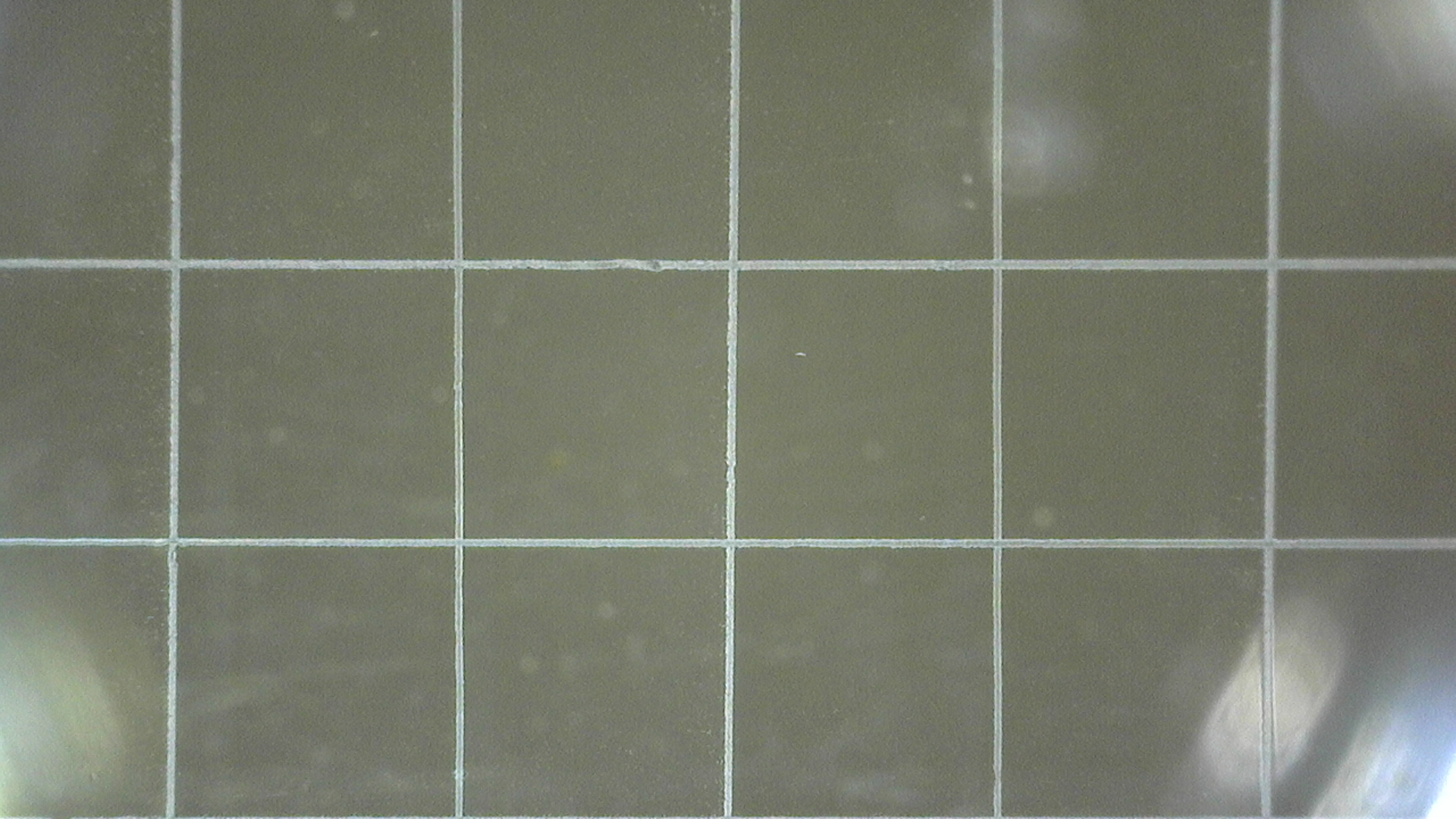 Nahaufnahme einer Fensterscheibe